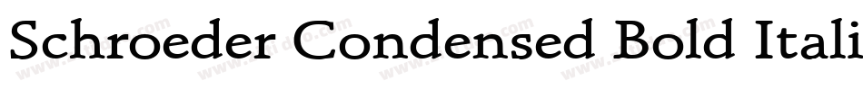 Schroeder Condensed Bold Italic字体转换